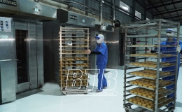 Đa dạng hình thức khuyến khích người dân, doanh nghiệp tiết kiệm năng lượng