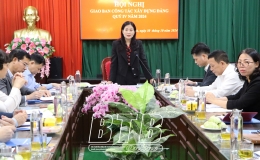 Đảng ủy Khối các cơ quan và doanh nghiệp tỉnh: Giao ban công tác xây dựng Đảng quý IV/2024