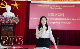 Đảng ủy Khối các cơ quan và doanh nghiệp tỉnh: Giao ban công tác xây dựng Đảng quý IV/2024