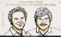 Giải Nobel Y sinh 2024 vinh danh 2 nhà khoa học người Mỹ Victor Ambros và Gary Ruvkun
