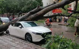 Hơn 11.600 tỷ đồng chi trả bồi thường bảo hiểm do bão số 3 và lũ lụt gây ra