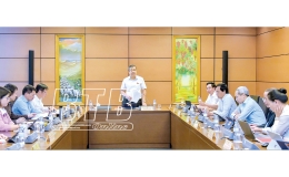 Kỳ họp thứ tám, Quốc hội khóa XV: Thảo luận tại tổ về các dự án luật
