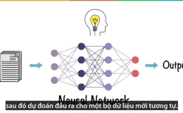 Mạng thần kinh nhân tạo hoạt động như thế nào?