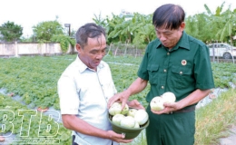 Nâng cao chất lượng, hiệu quả công tác dân vận