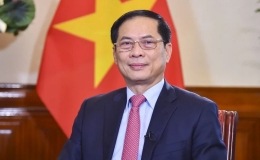 'Quan hệ Việt Nam-Australia đang phát triển rất mạnh mẽ và tích cực'