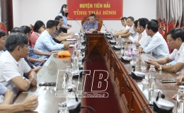 Tiền Hải: Phấn đấu gieo trồng hơn 4.200ha cây màu vụ đông