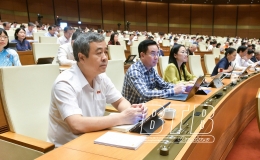 Tiếp tục chương trình Kỳ họp thứ 8: Quốc hội thảo luận về các dự án luật