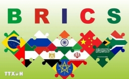 Tìm hiểu về BRICS - Tiềm năng trụ cột mới trong hệ thống đa phương