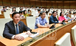 Quốc hội thảo luận về dự án Luật Dược và Luật Dữ liệu