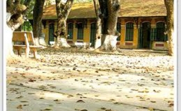 Mái trường mến yêu!