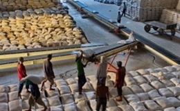 Indonesia sẽ nhập 300.000 tấn gạo của Việt Nam