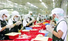 Xuất khẩu thủy sản sẽ tiếp tục gặp khó trong năm 2013