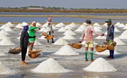 Sản lượng muối 10 tháng tăng hơn 28%