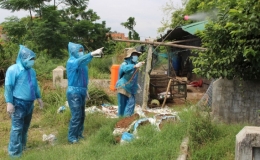 Cúm A/H5N6 độc lực rất mạnh xuất hiện ở Phú Yên