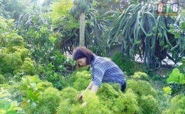 Đồng vốn nghĩa tình (Kỳ 1)