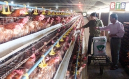 Đồng hành cùng hội viên phát triển kinh tế VAC bền vững