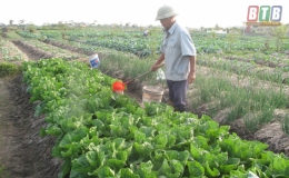 Tạo sự lan tỏa về bảo vệ môi trường trong sản xuất nông nghiệp
