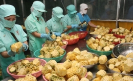 Việt Nam đứng thứ 15 thế giới về kim ngạch xuất khẩu nông sản