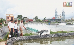 Hiệu quả kinh tế của tôm thẻ chân trắng
