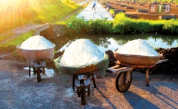 Làng không cấy lúa