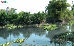 Bị xử phạt vì xả thải gây ô nhiễm nước sông, vẫn tái phạm