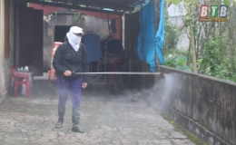 Bệnh dịch tả lợn châu Phi giảm mạnh tại các địa phương