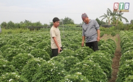 Khi nông dân tiết kiệm năng lượng