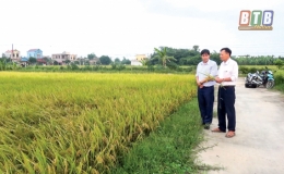 “Người đứng đầu đặc biệt”