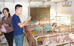 Công bố hết dịch bệnh dịch tả lợn châu Phi trên địa bàn huyện Hưng Hà