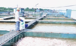 Điểm tựa giúp nông dân phát triển kinh tế
