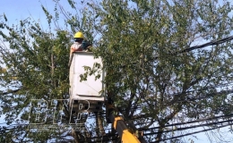 Điện lực thành phố Thái Bình tổ chức phát quang hành lang lưới điện