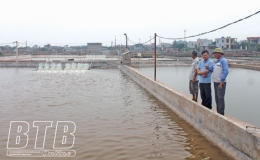 Đông Minh: Phát triển nghề nuôi trồng thủy sản theo hướng bền vững