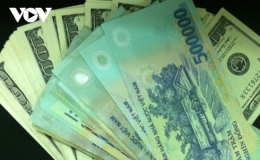 Giá USD hôm nay (11/11) ít biến động