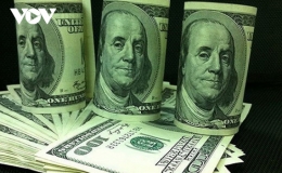 Giá USD hôm nay 12/11 "giậm chân tại chỗ"
