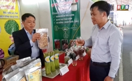 Hỗ trợ doanh nghiệp phục hồi sản xuất, kinh doanh sau dịch Covid-19