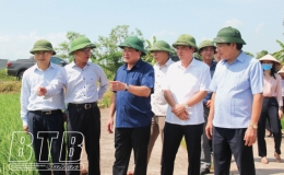 Ngành Nông nghiệp và Phát triển nông thôn Thái Bình: 75 năm xây dựng và phát triển