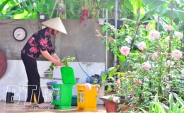 Phân loại rác thải từ gia đình