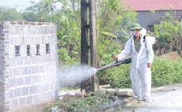 Quyết liệt thực hiện các biện pháp phòng, chống bệnh dịch tả lợn châu Phi