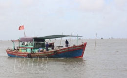 Tiền Hải, Thái Thụy: kêu gọi tàu, thuyền tránh trú cơn bão số 13