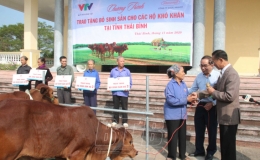 Trao tặng bò sinh sản cho các hộ có hoàn cảnh khó khăn tại xã Minh Quang (Vũ Thư)