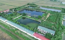 Trở thành tỷ phú nhờ nuôi lợn rừng
