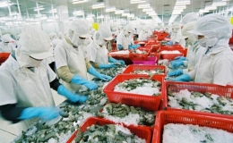 10 tháng, xuất khẩu nông, lâm, thủy sản tăng hơn 13%