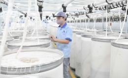 Kỳ 2: Cụ thể hóa bằng hành động với quyết tâm và nỗ lực cao nhất