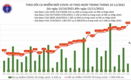 Ngày 12/11: Có 8.982 ca mắc Covid-19 tại 56 tỉnh, thành; hơn 10.200 bệnh nhân khỏi