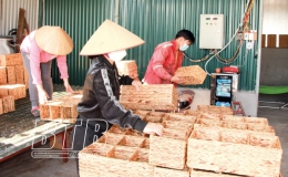 Phụ nữ xã Minh Phú: Phát triển nghề đan bèo tây xuất khẩu