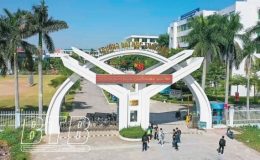 Trường Đại học Thái Bình: Chú trọng thực hiện kiểm định chất lượng giáo dục