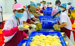 10 tháng năm 2022: Xuất khẩu nông, lâm, thủy sản đạt gần 45 tỷ USD
