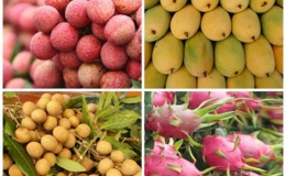7 trái cây của Việt Nam được xuất sang Hoa Kỳ
