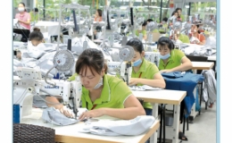 Cục Thuế tỉnh: Nỗ lực để duy trì chỉ số DDCI