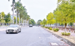 “Dân vận khéo” xây dựng đô thị văn minh